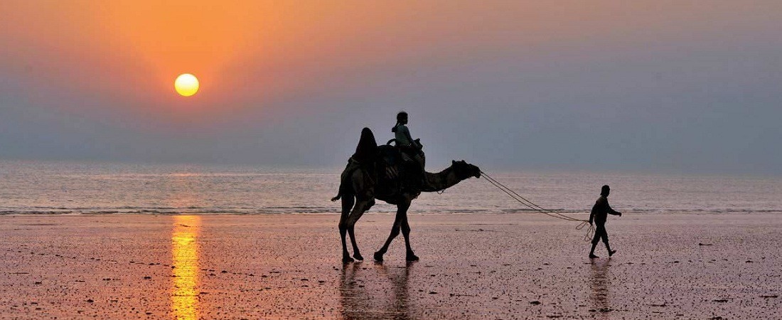 11 Best Beaches in Gujarat 