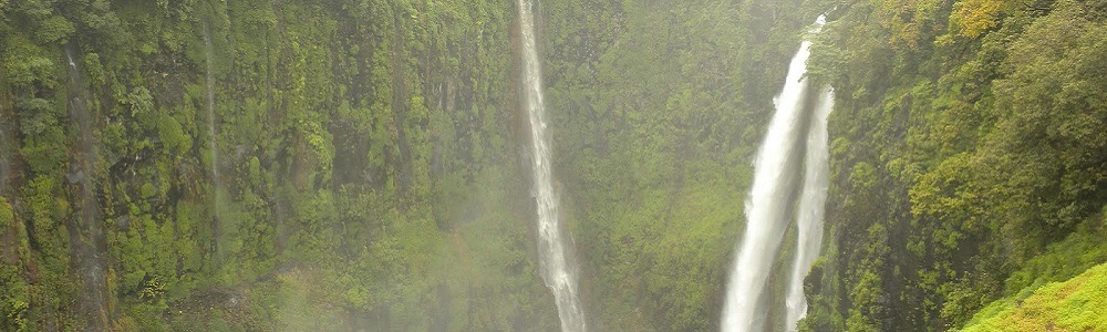 14 Best Waterfalls near Mumbai 