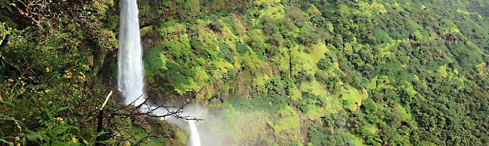 13 Best Waterfalls near Pune 