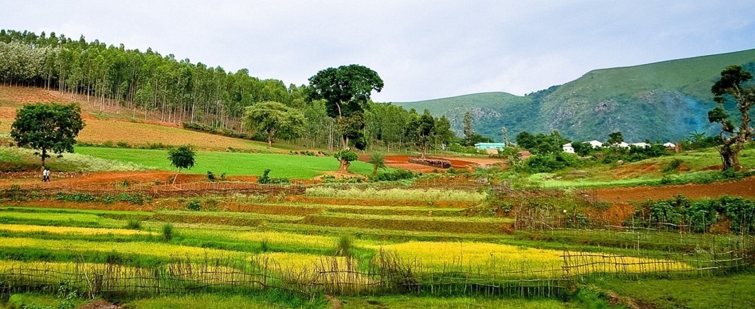 Araku Valley Tour Packages