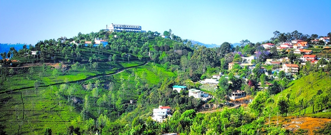 Coonoor Tour Packages