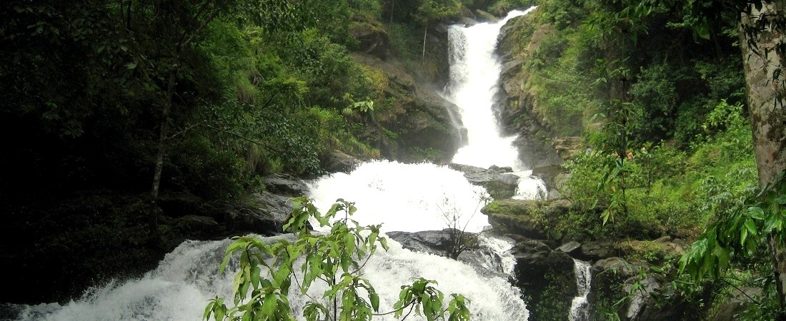 Irupu Falls Tour Packages