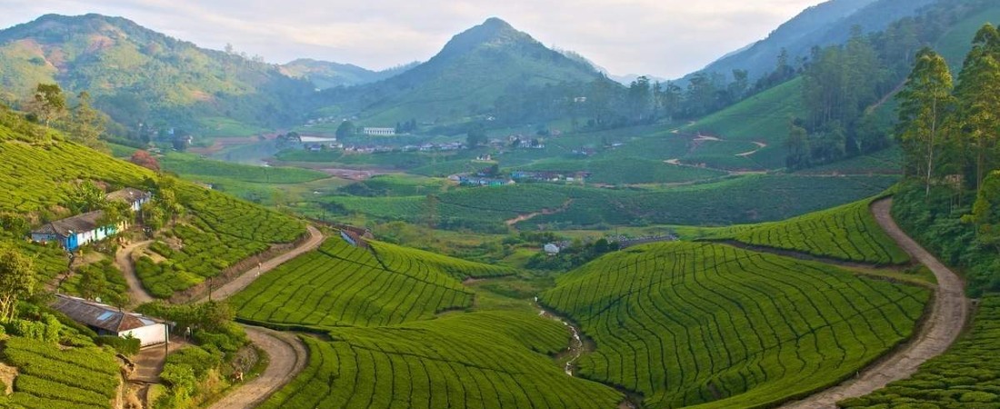 Meghamalai Tour Packages