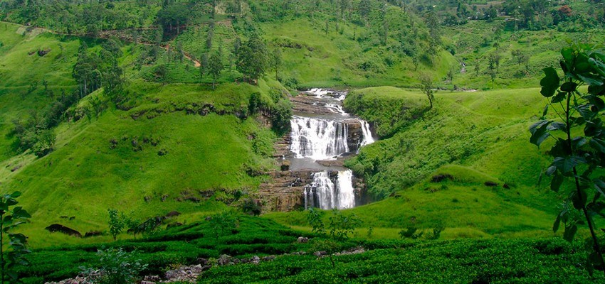 Nuwara Eliya Tour Packages