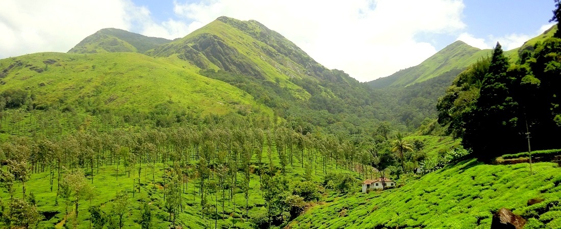 Wayanad Tour Packages